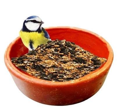 Water Tray, Bath tub for Birds in Balcony, Garden and cage - Brown, Clay, Small 12cm, Set of 2